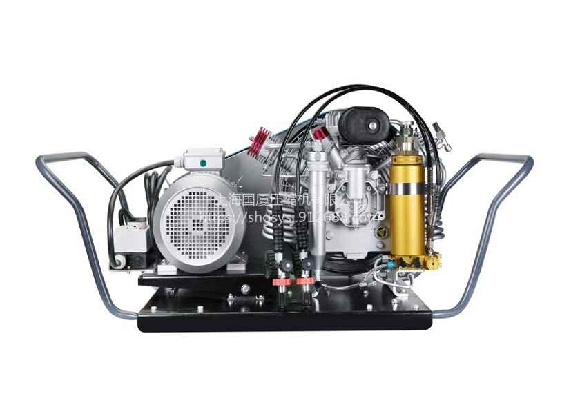 45Mpa超高压呼吸器充气泵厂家图片